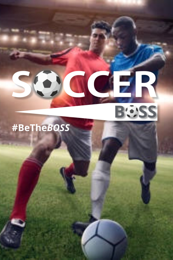 Steam portrait for Soccer Boss.
