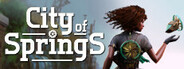 City of Springs System Requirements