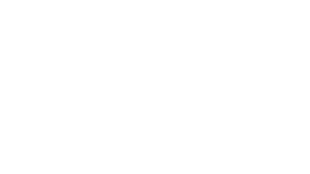 She Will Shoot Logo