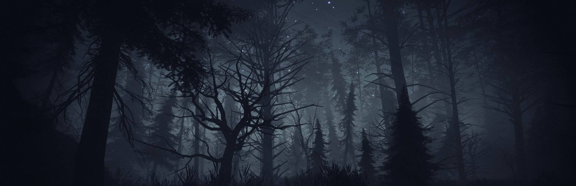 Light, Dark or Hrak?