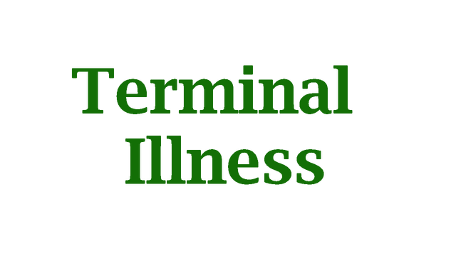 Terminal illness Rogue Horror Space Shooter Logo