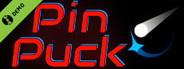 Pin Puck Demo