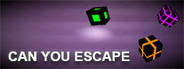 Can You Escape System Requirements