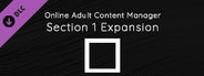 Online Adult Content Manager - Section Expansion 1