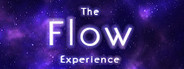 The Flow Experience System Requirements