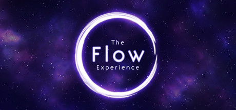 The Flow Experience cover art