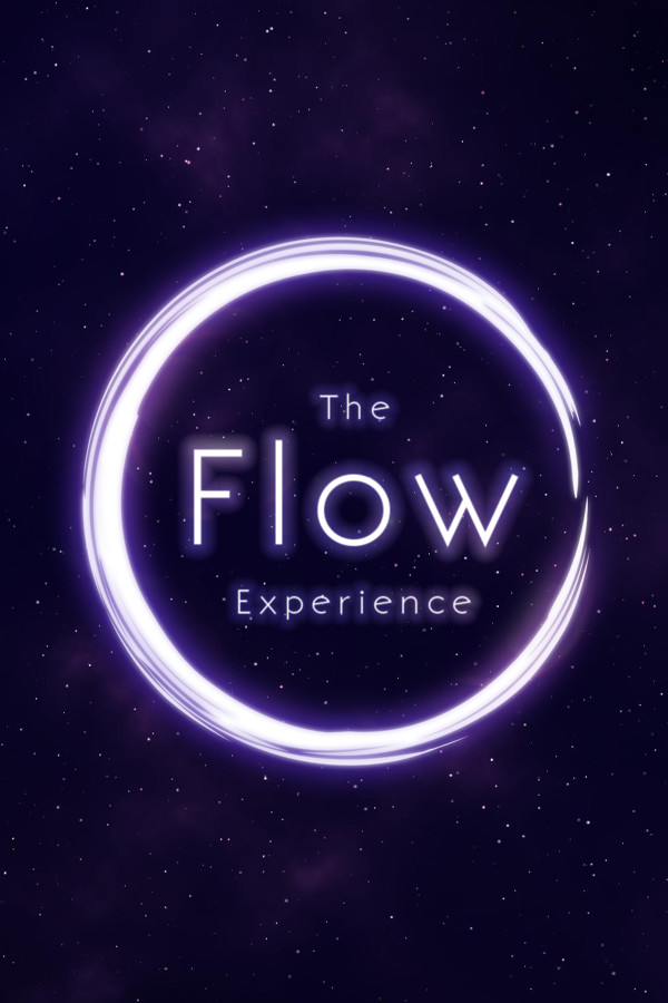 The Flow Experience