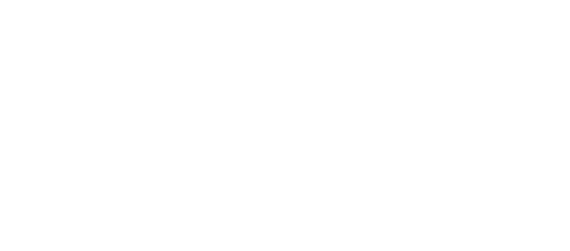 Debt - Chasing Treasure Logo