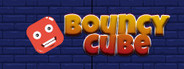 Bouncy Cube