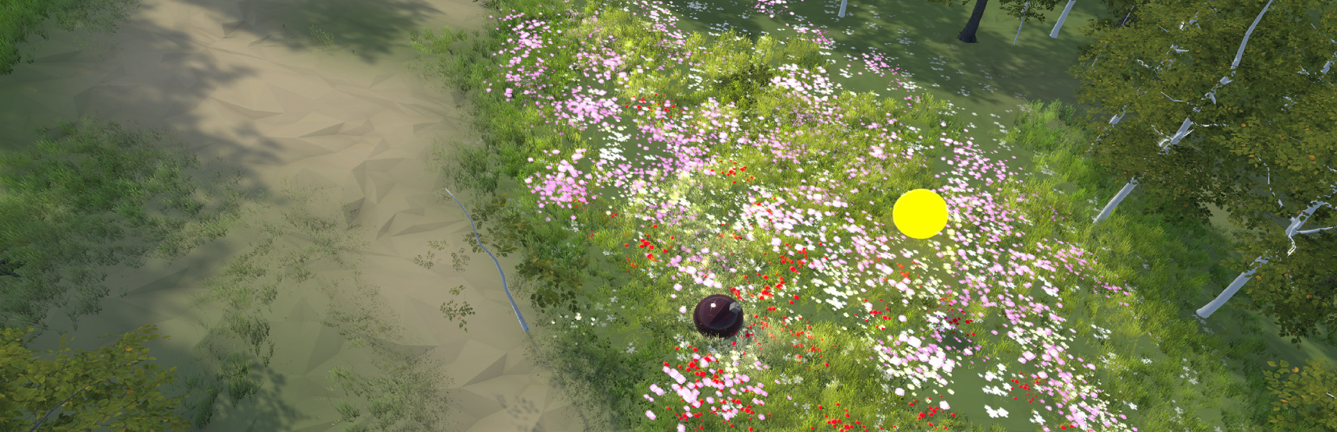 The Ball Flow - First Approach