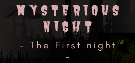 Mysterious Night cover art