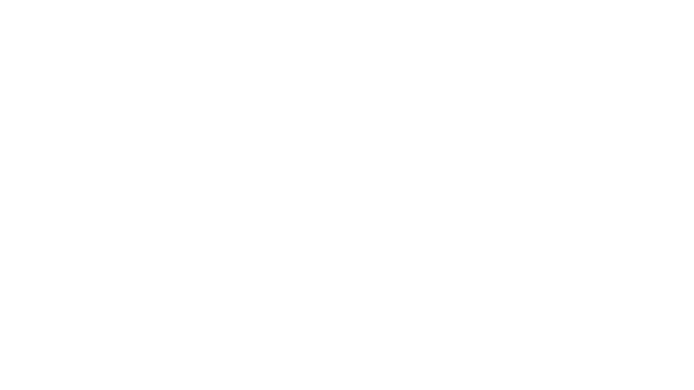 WOLF RIOT Logo