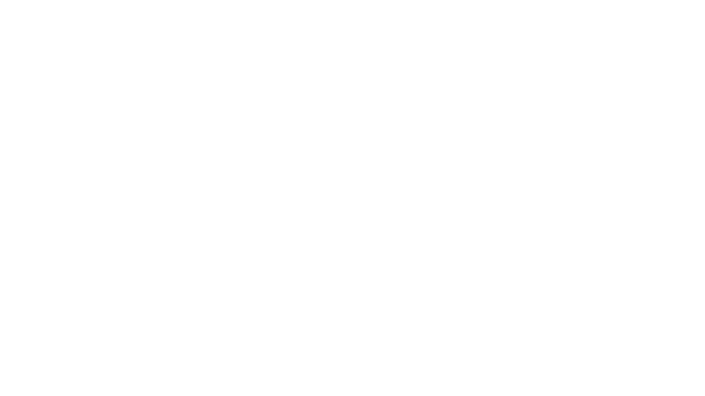 Duel Corp. Logo