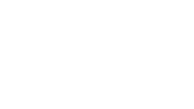 Mirror Forge Logo