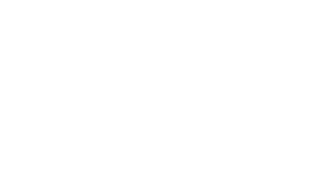 DSX Logo