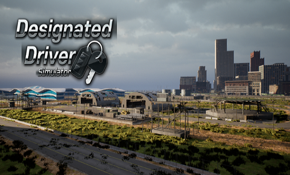 Designated Driver Simulator Logo