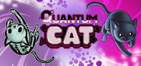The Quantum Cat cover art