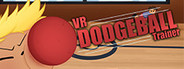 VR Dodgeball Trainer System Requirements