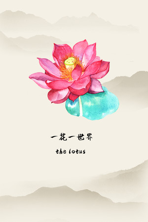 一花一世界