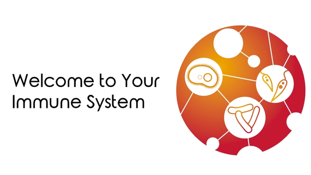 Welcome To Your Immune System Logo