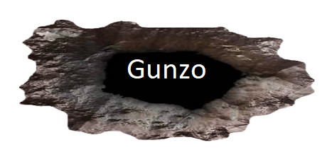 GUNZO! cover art