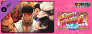 Capcom Arcade 2nd Stadium: HYPER STREET FIGHTER II - The Anniversary Edition -