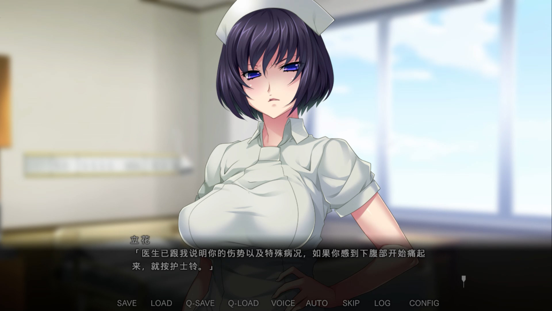病房轶事 ~只有恶质护士存在的医院(V1.0.0+DLC)