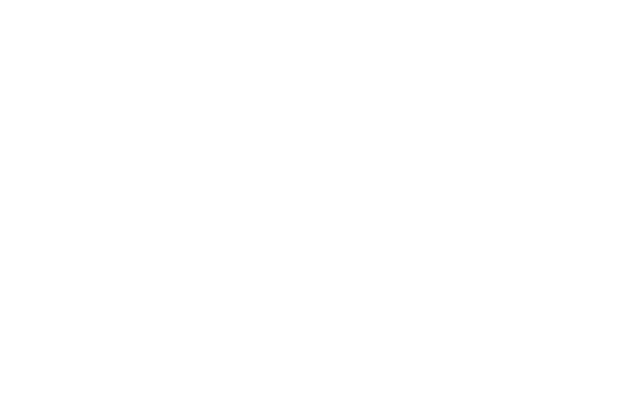 Island Berry Logo