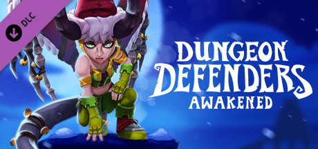 Dungeon Defenders: Awakened - Winter Defenderland cover art