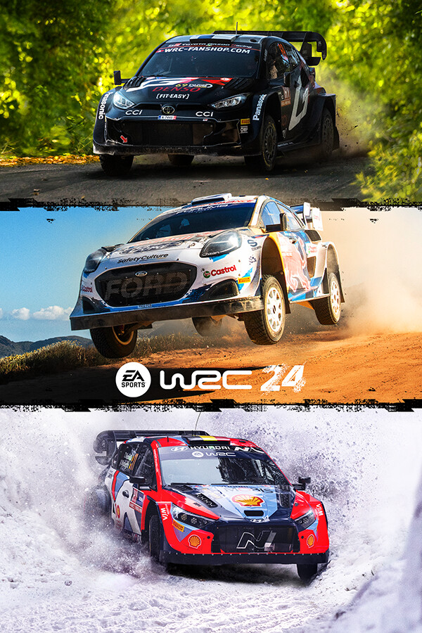 WRC for steam