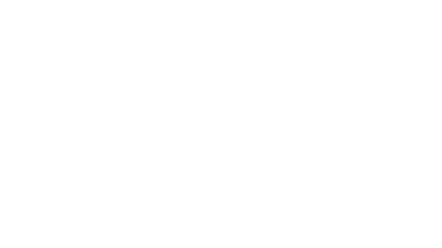 Levitation Simulator Logo