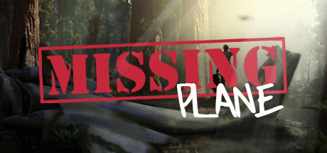 Missing Plane: Survival cover art