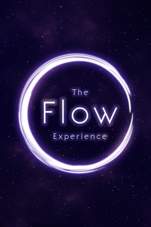The Flow Experience Demo