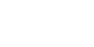 100 Days without delays Logo
