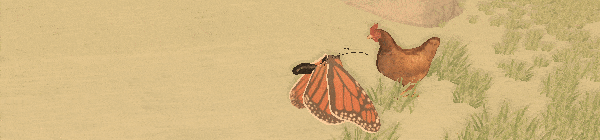 蝶梦/A Butterflys Dream
