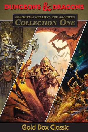 Forgotten Realms: The Archives - Collection One poster image on Steam Backlog