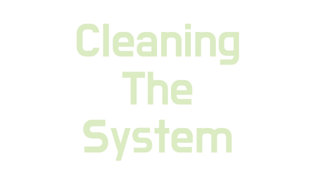 Cleaning The System Logo