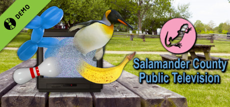 Salamander County Public Television Demo cover art