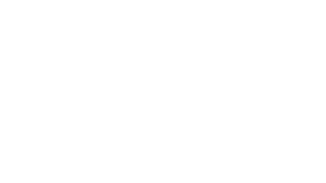 Foreign Galaxies Logo