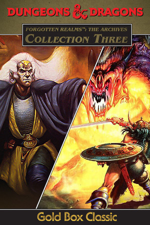 Forgotten Realms: The Archives - Collection Three poster image on Steam Backlog
