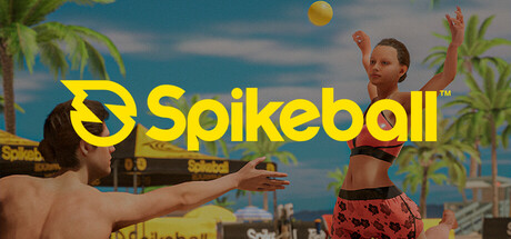 Spikeball cover art