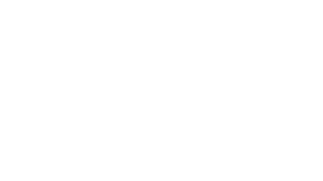 Art of Stunt Logo
