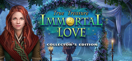 Immortal Love: True Treasure Collector's Edition cover art