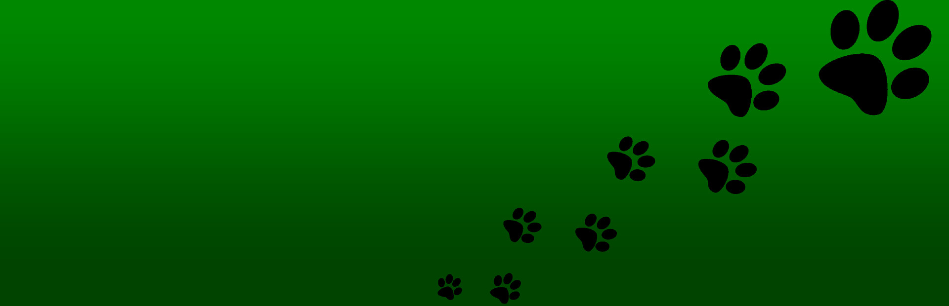 Roxy Raccoon's Bowling Bash