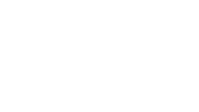 The Original Wizard Logo