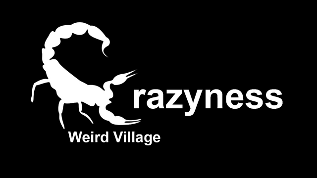 Crazyness: Weird Village Logo