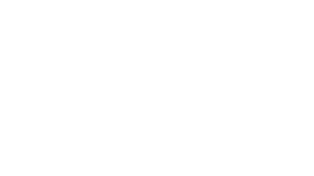 The Visit Logo