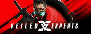 VEILED EXPERTS System Requirements