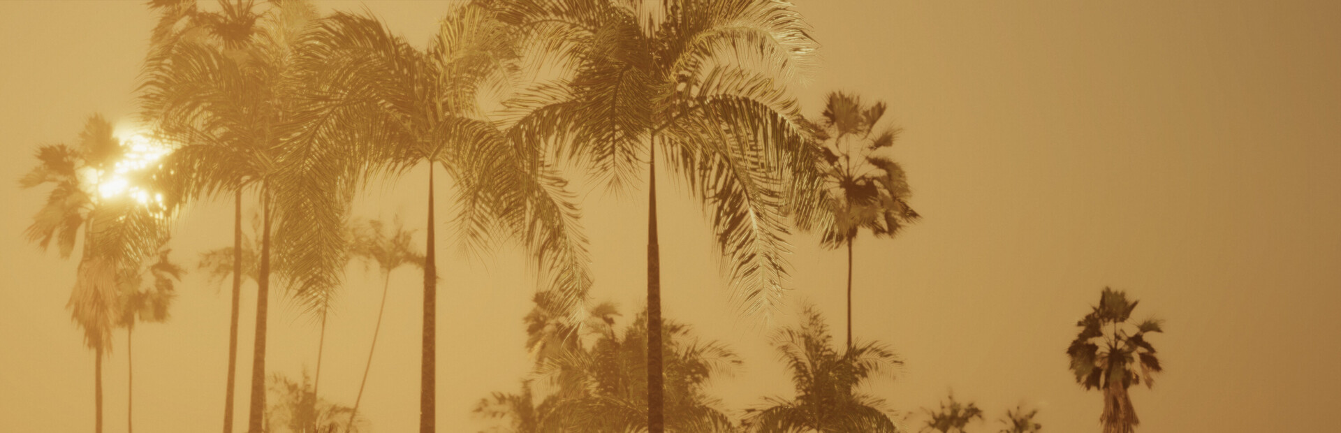 Miami Hotel Simulator