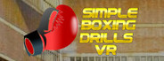 Simple Boxing Drills VR